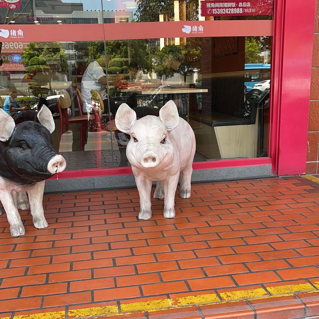 人生地不熟