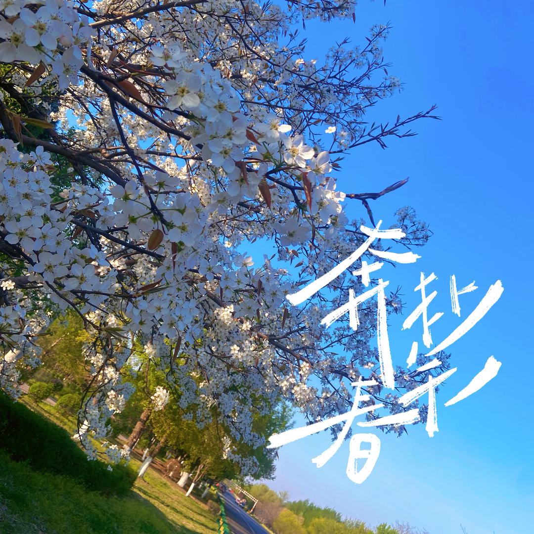 此去经年。
