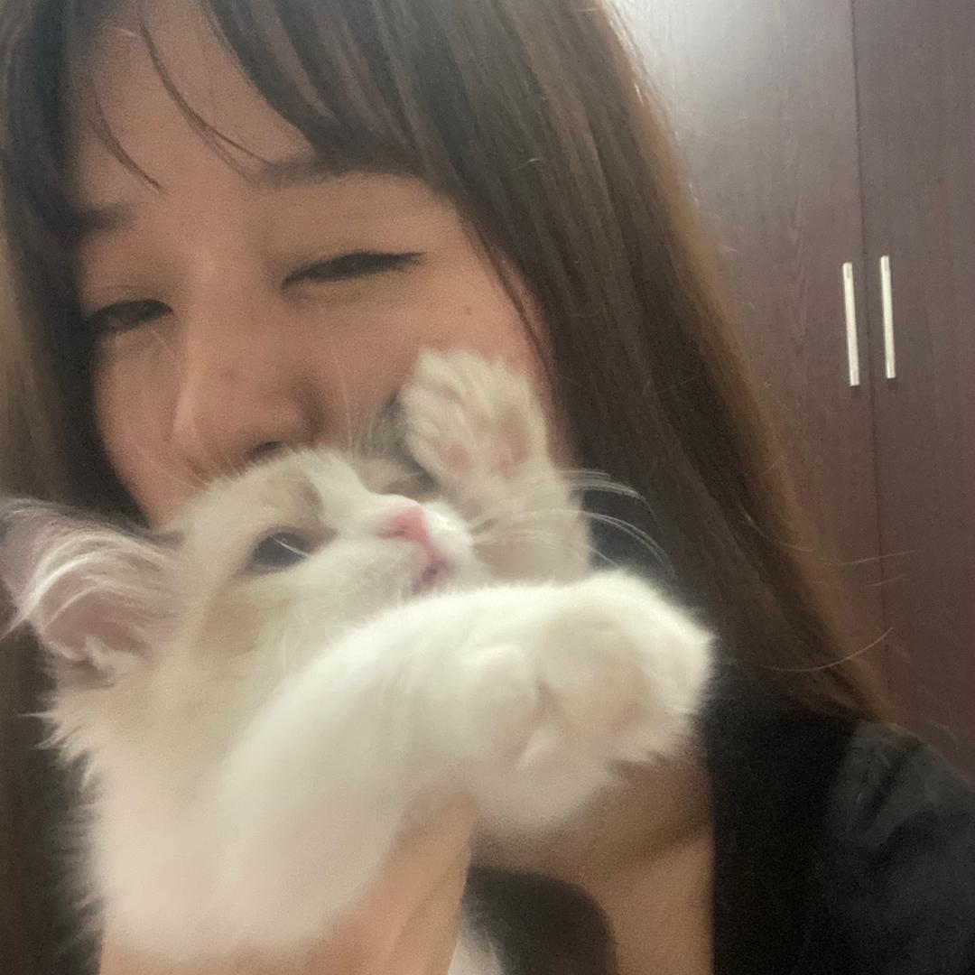 猫咪梦