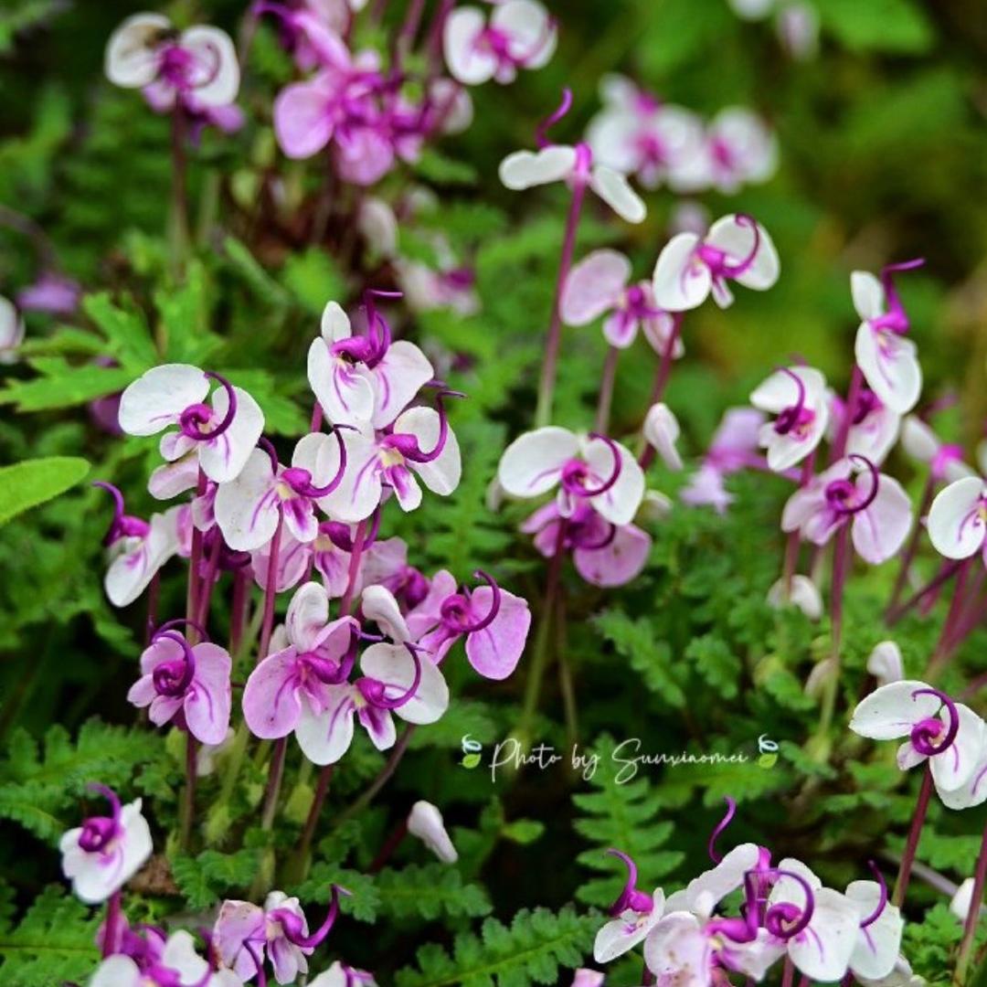 💕Ct-❤️‍🔥