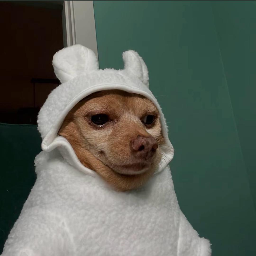 梦里什么都有(｀_´)ゞ