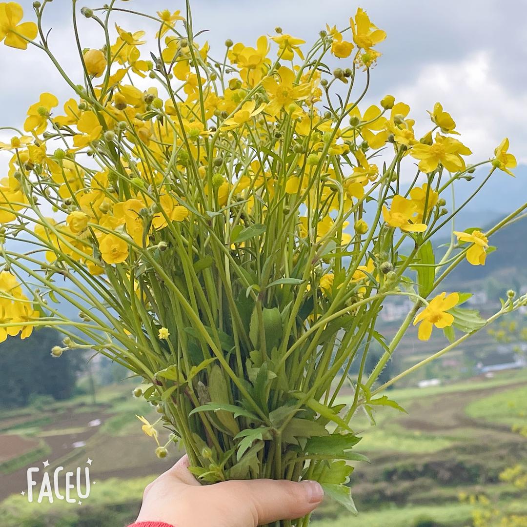 回忆