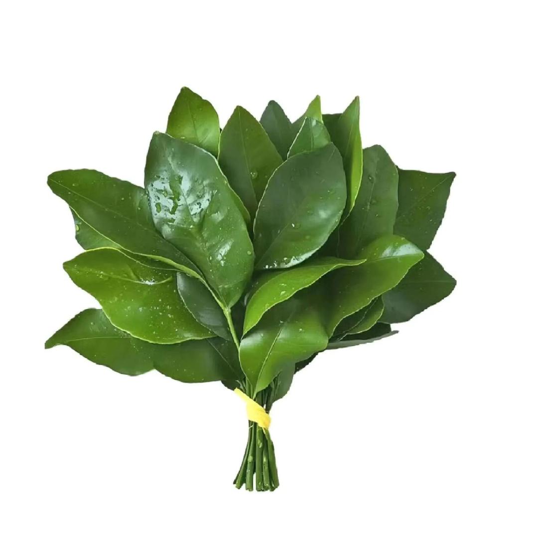 迷路的布拿拿