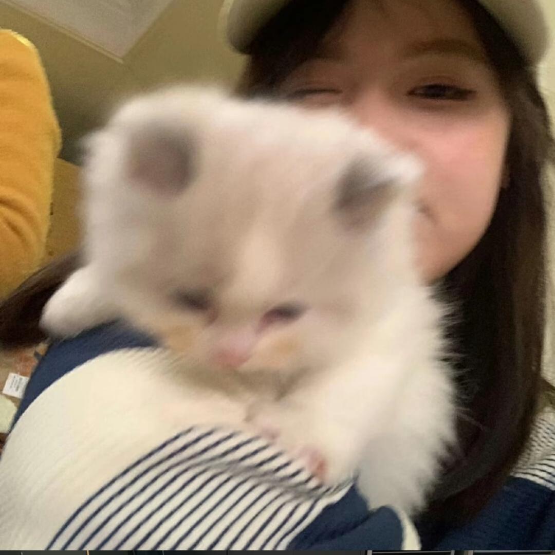 ㅤ￴帅