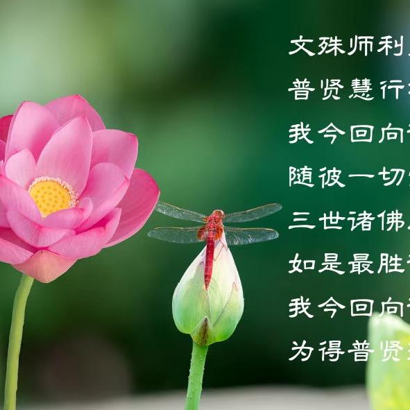 铝合金
