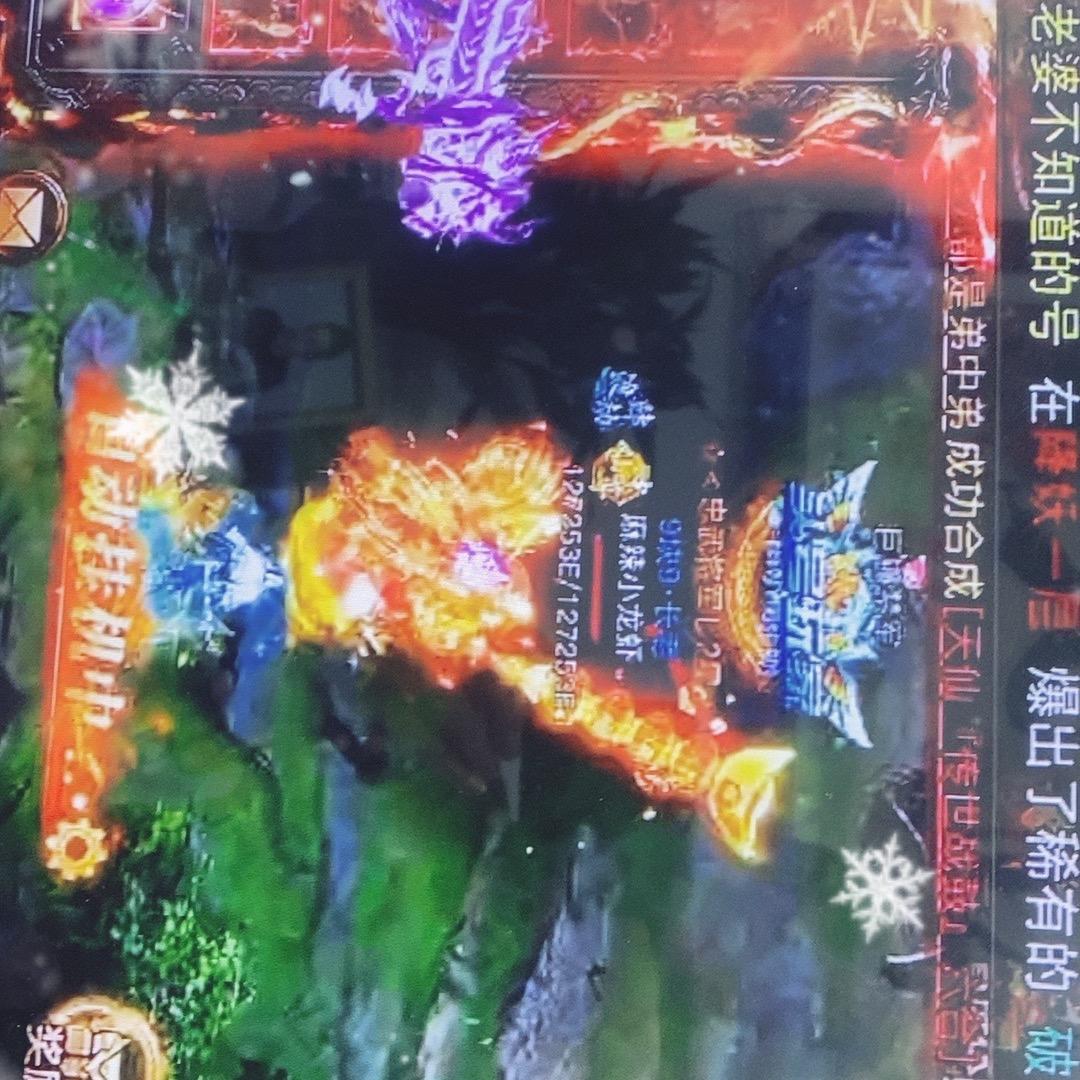 浴火重生