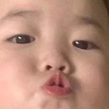胡图图