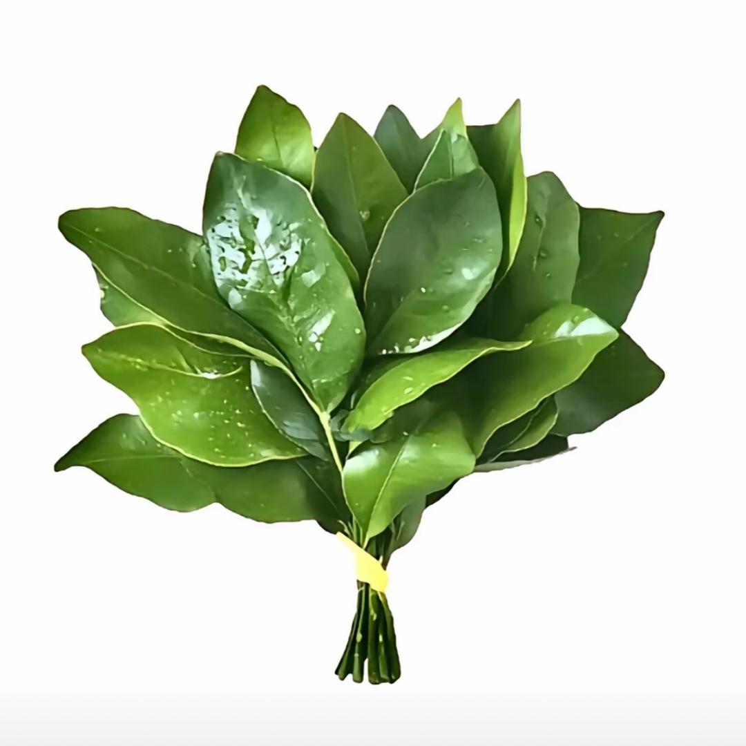 ͏x