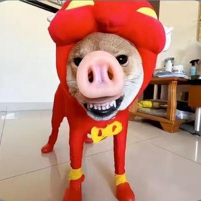 諾 神.