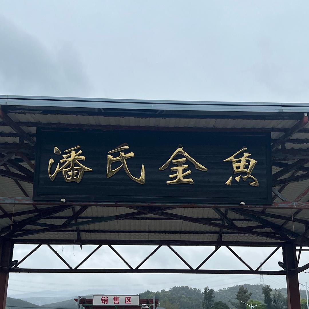 潘氏金鱼（直营店）