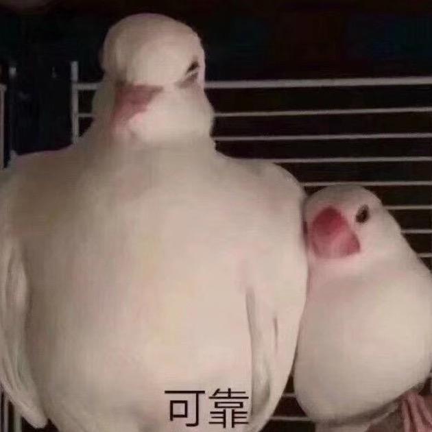 嫡长果好剧推荐头像
