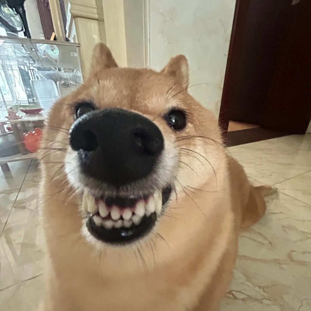 穗觉不睡觉