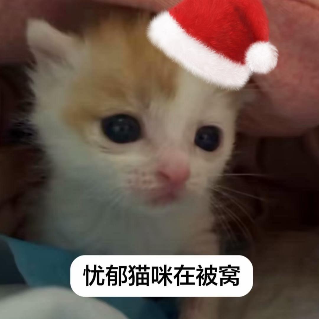 氯雷他定重度依赖者