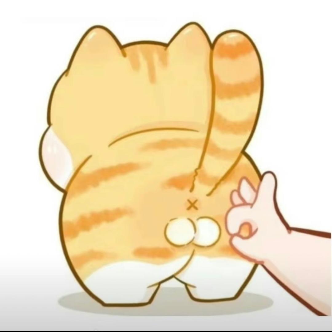 Travelers🌈🌈🌈🌈🌈