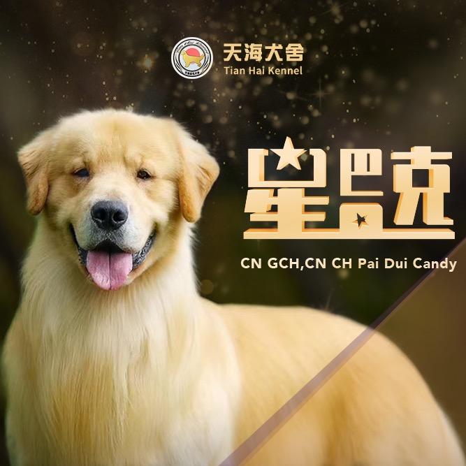 天海金毛叶万杰