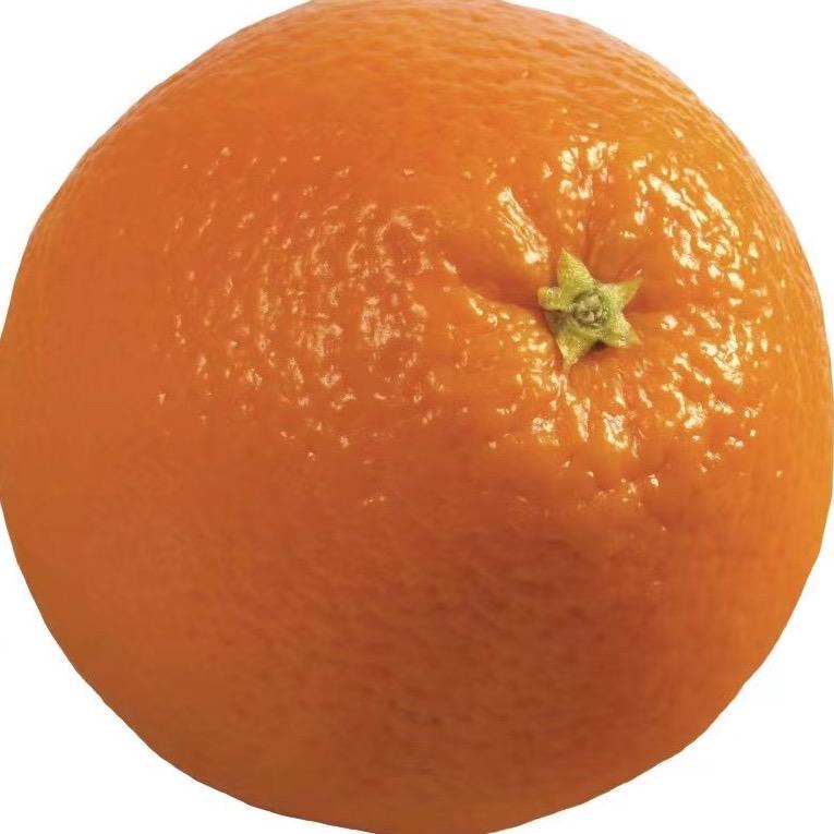 大橙子🍊🧚🏻‍♀️