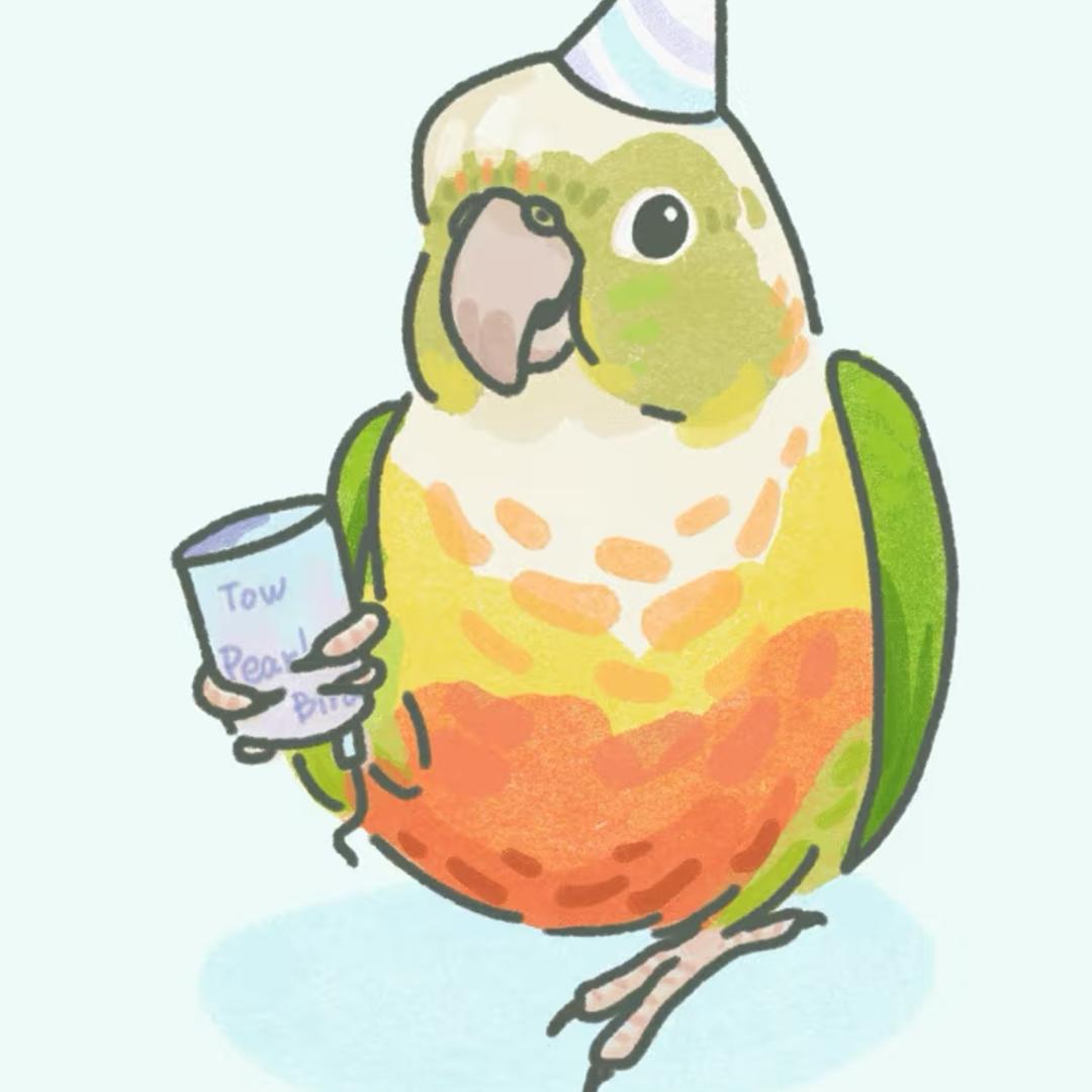 小鹦屋叽叽喳喳