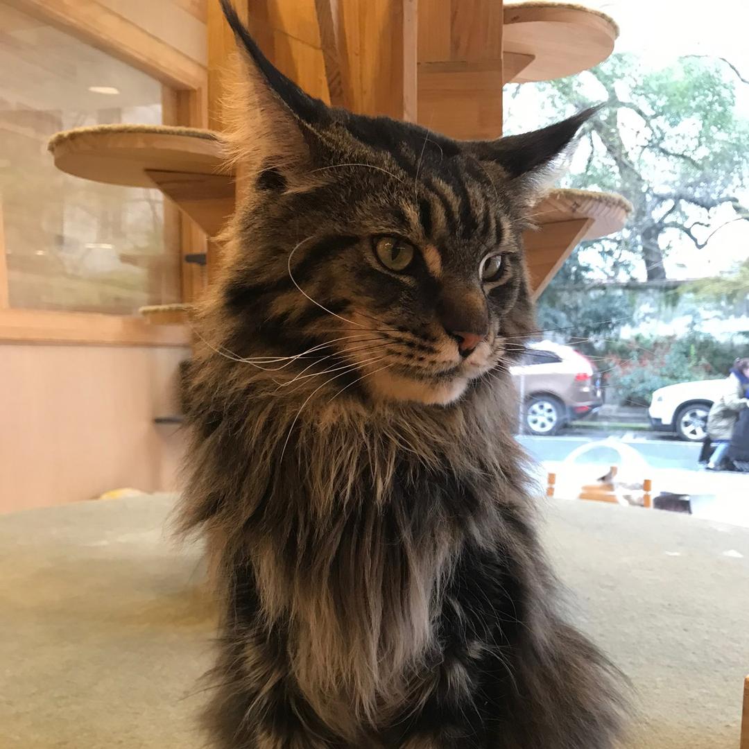 躺在床上睡不着