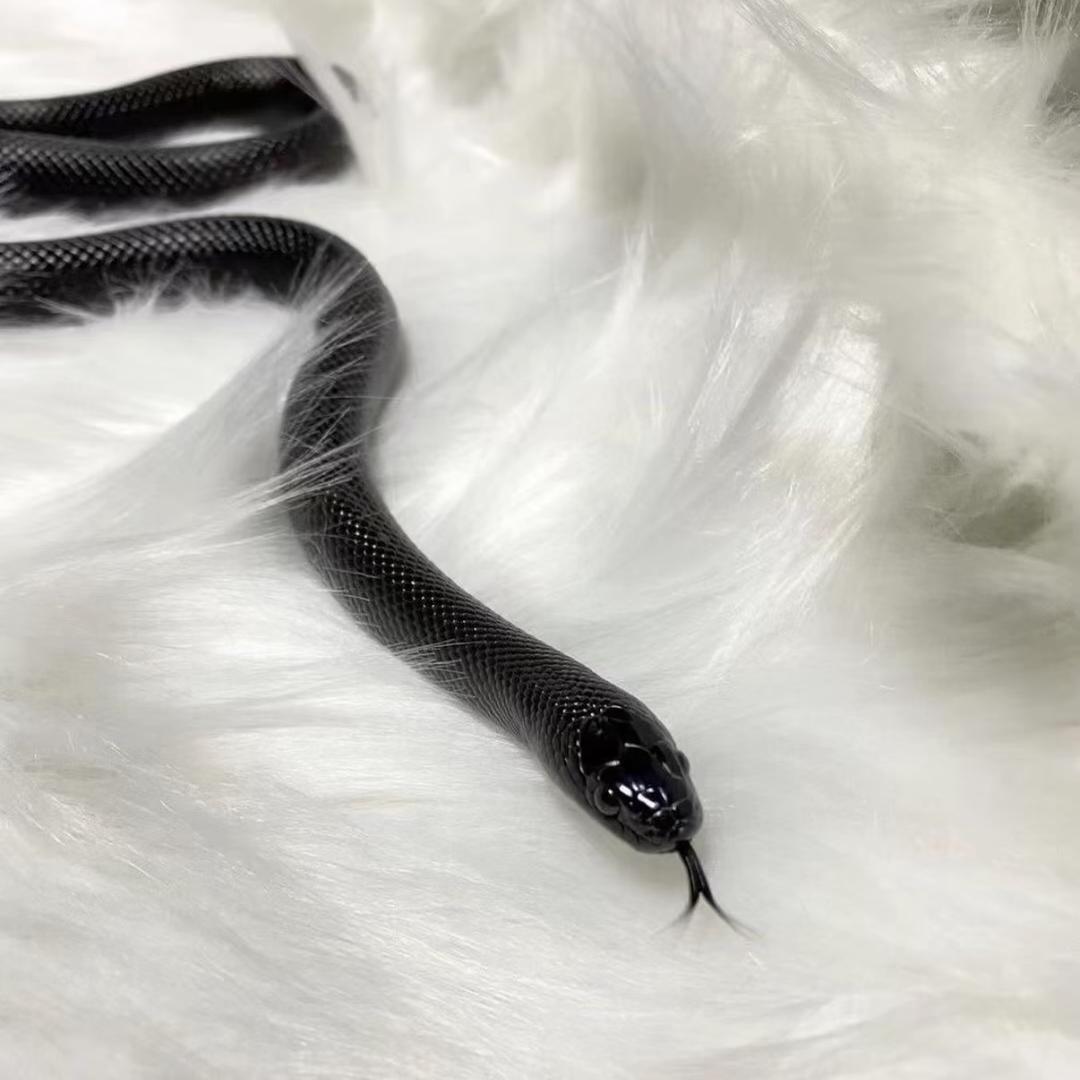 蛇㵃.