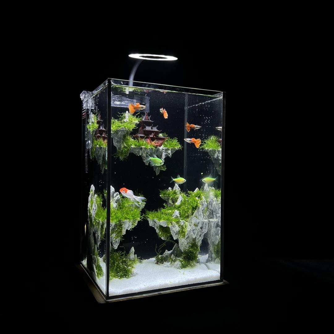 嘉乐鱼缸造景体验馆