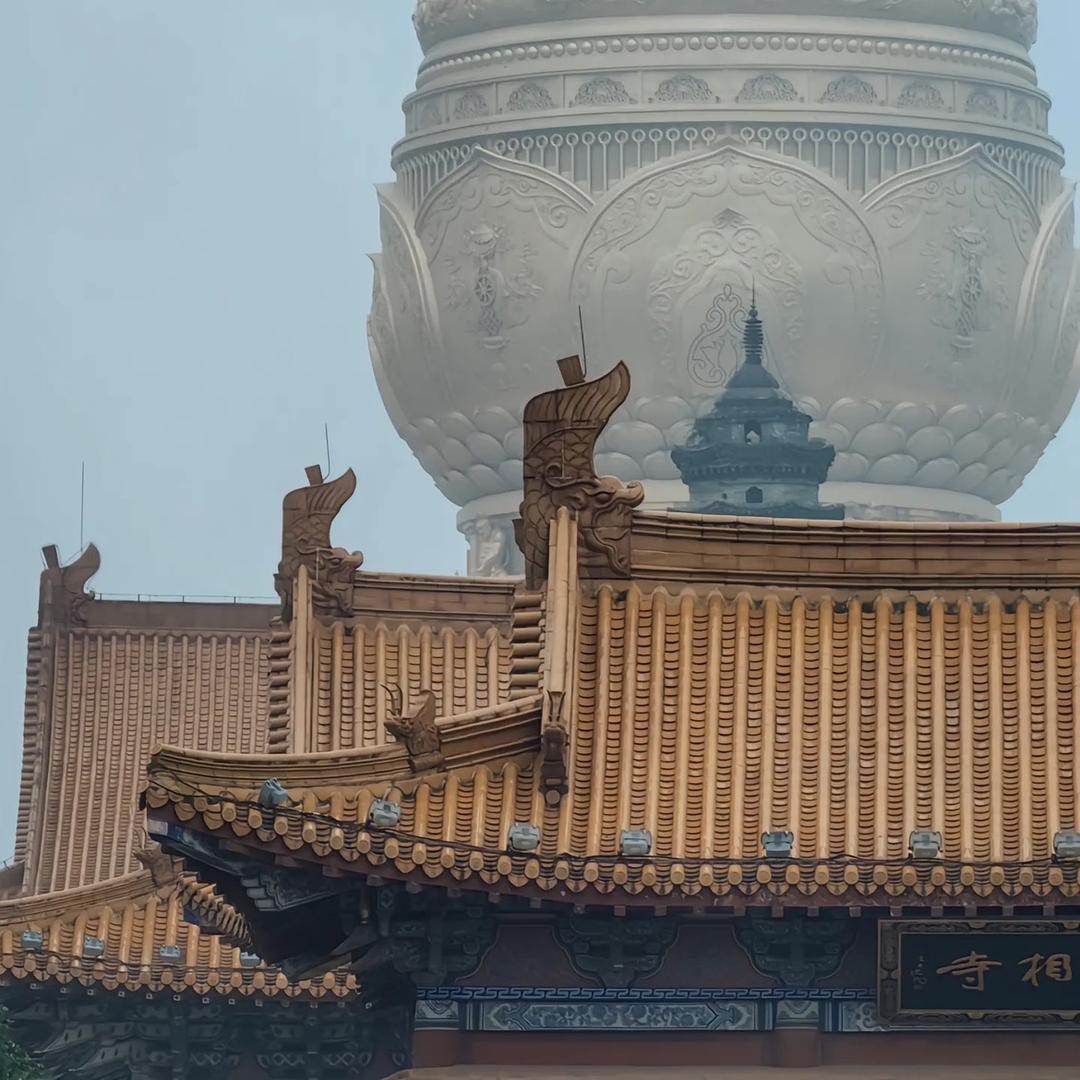 精彩人生‍