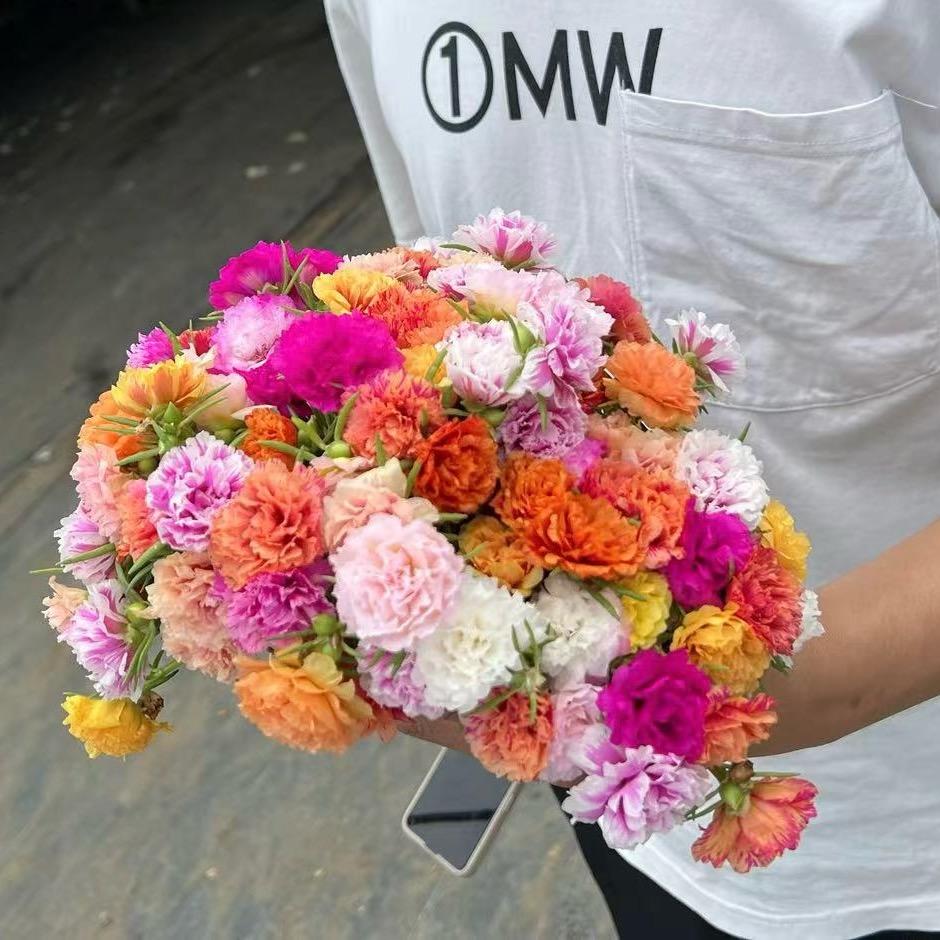 仟卉籽育苗基地