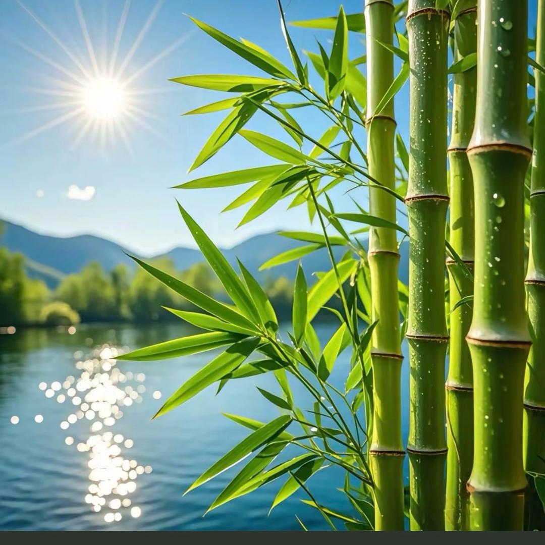 搎靊䑞瞓