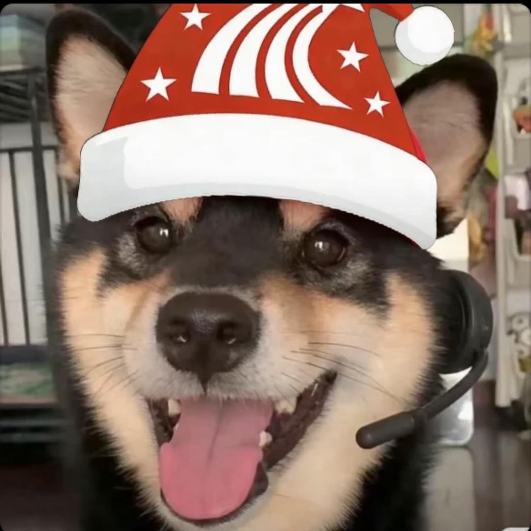 嘻嘻，