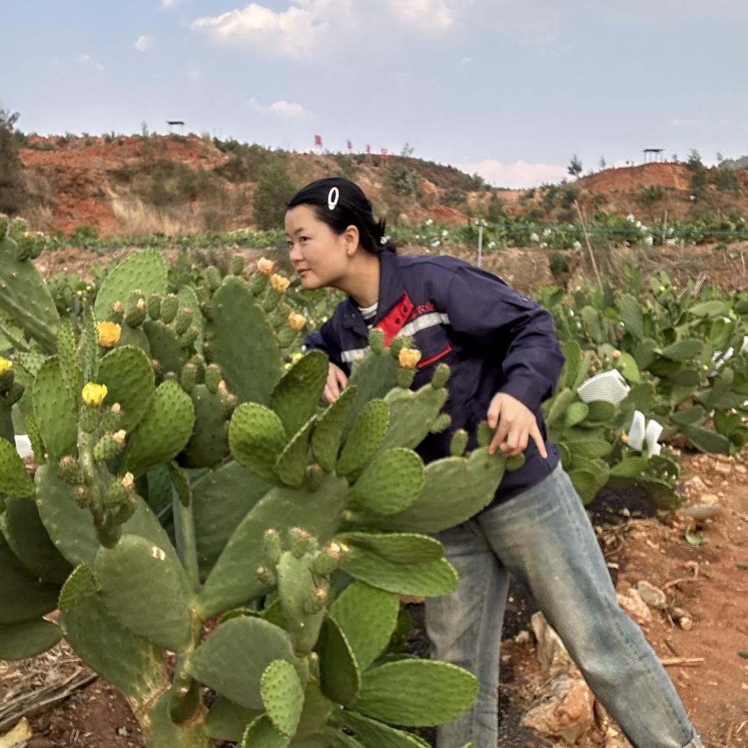 小娜吃仙人掌