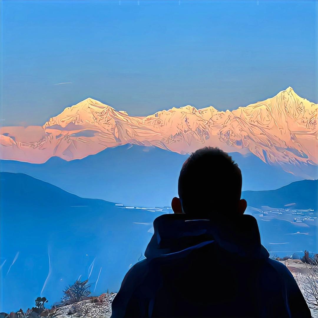旅行中的鹿