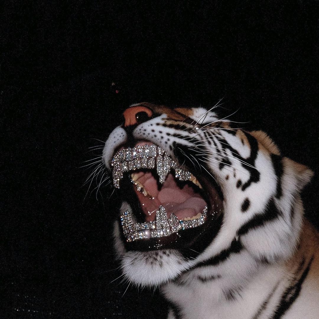 大狗