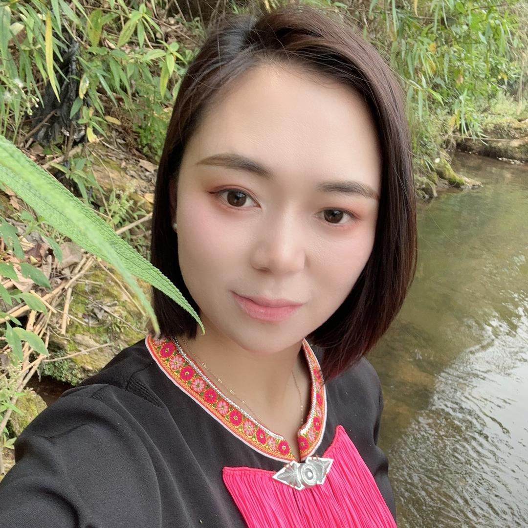 云南古树茶七七