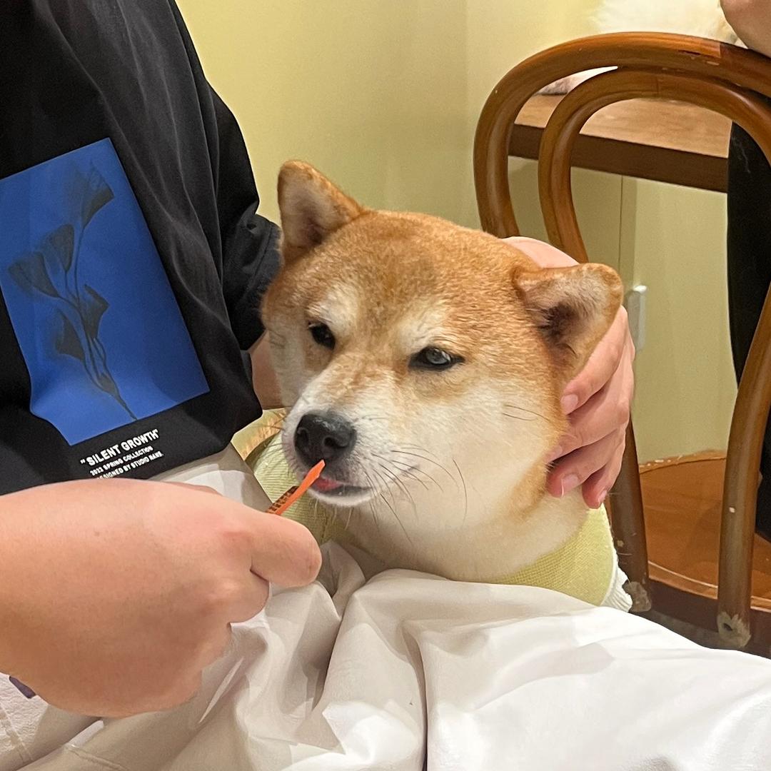 糖糖优选