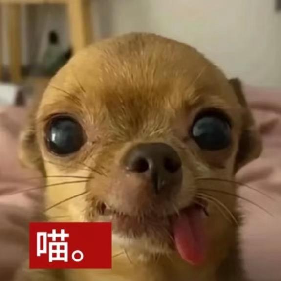 去他妈的吧我不管了我要干翻全世界哈哈哈哈