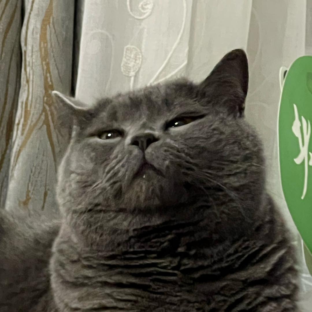 谛听和丰登