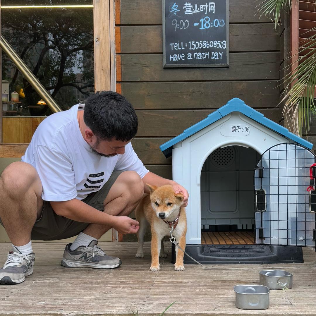 虫子先生
