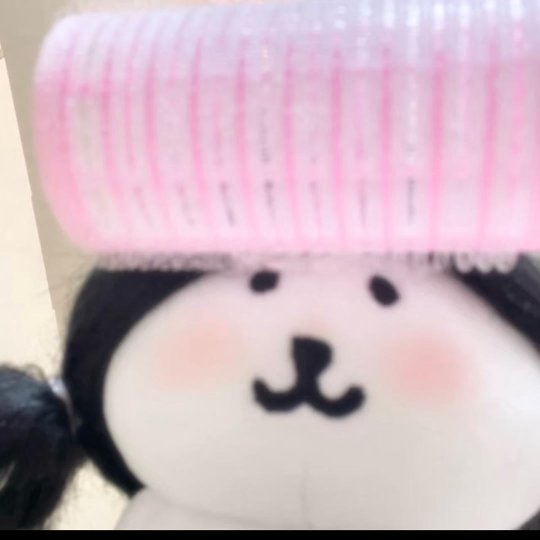 INB100_贝贝熊🥔