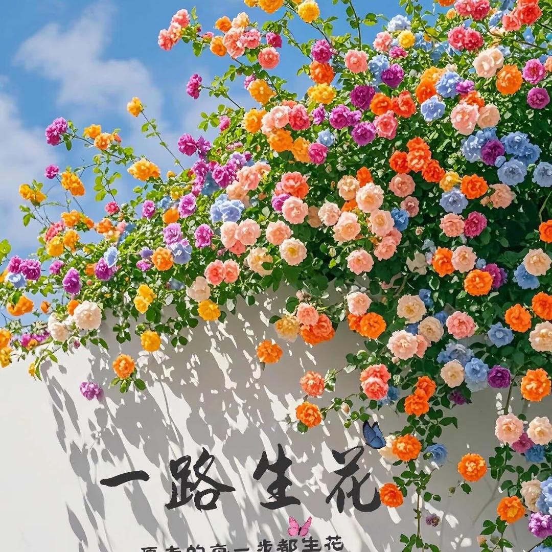 平安喜乐