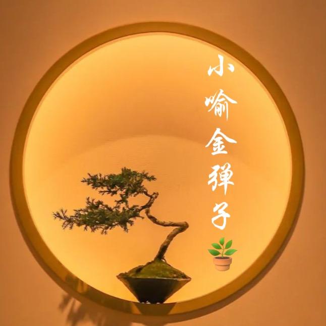 小喻金弹子盆景