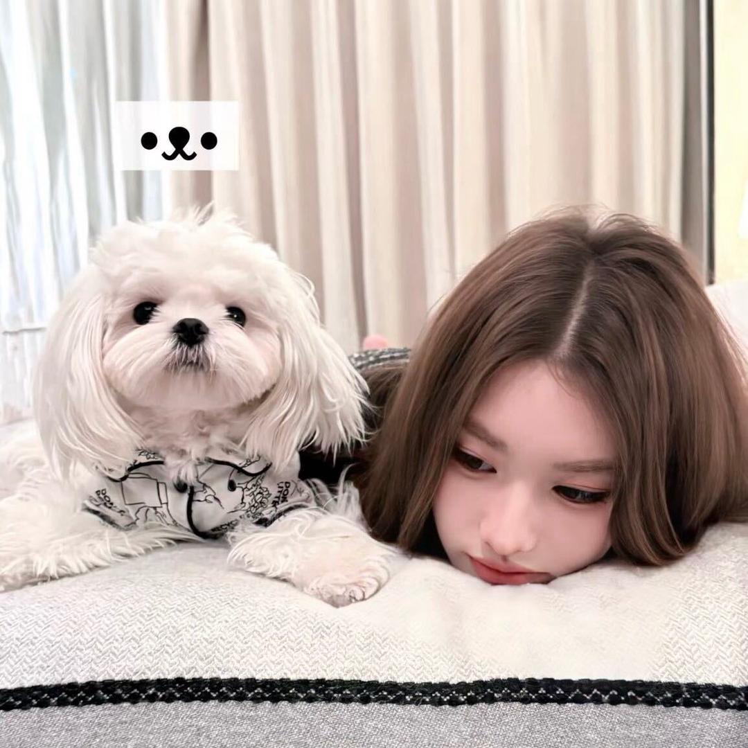 小歪