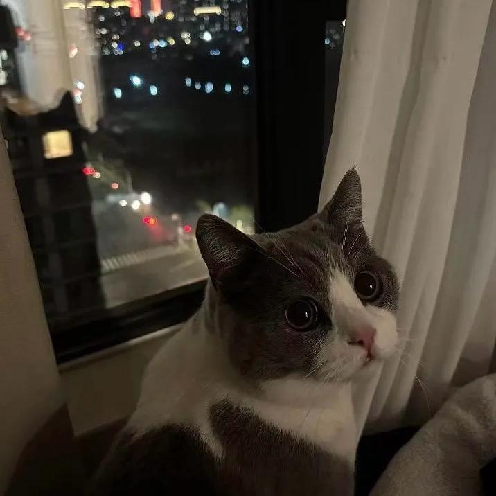 百念念