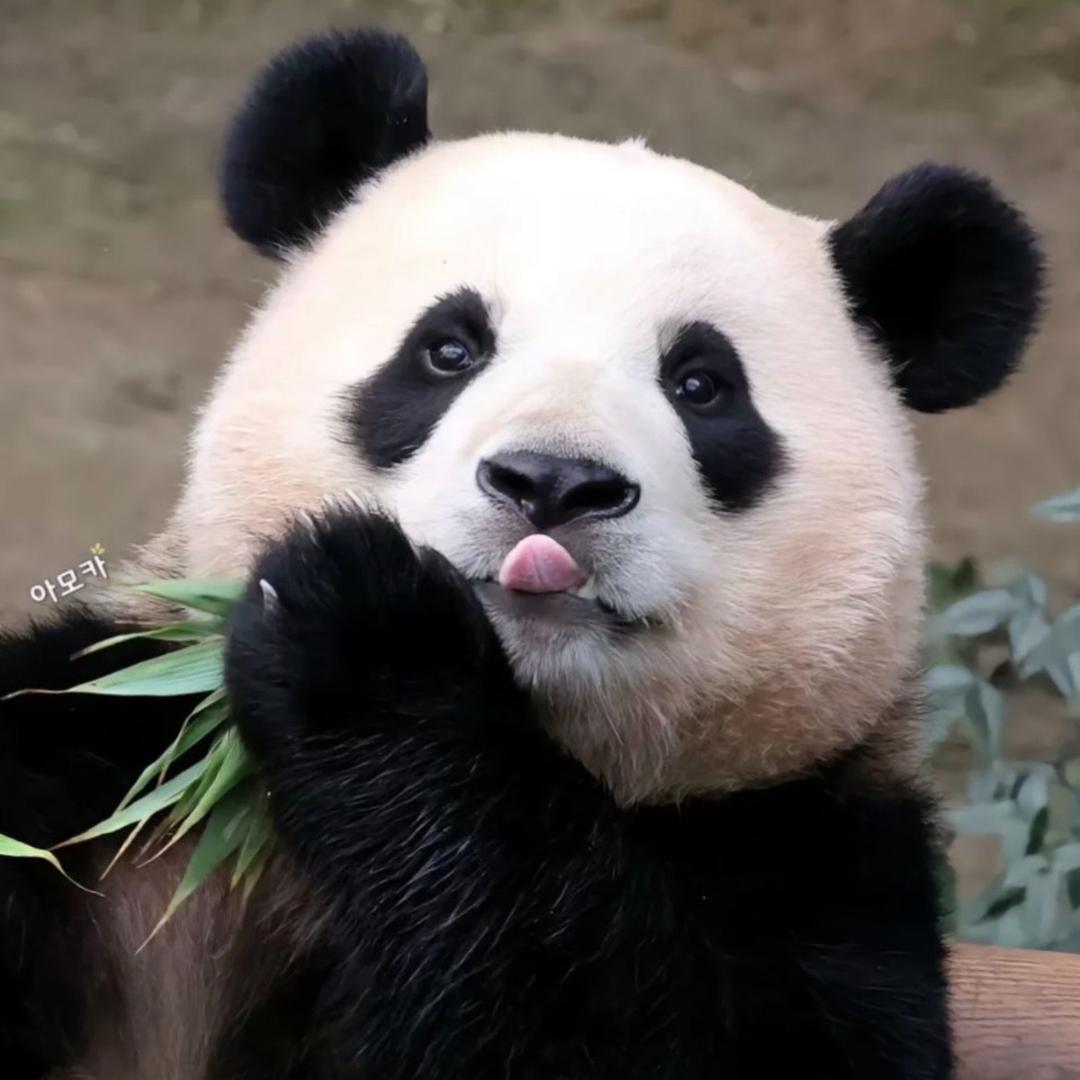 小二姐