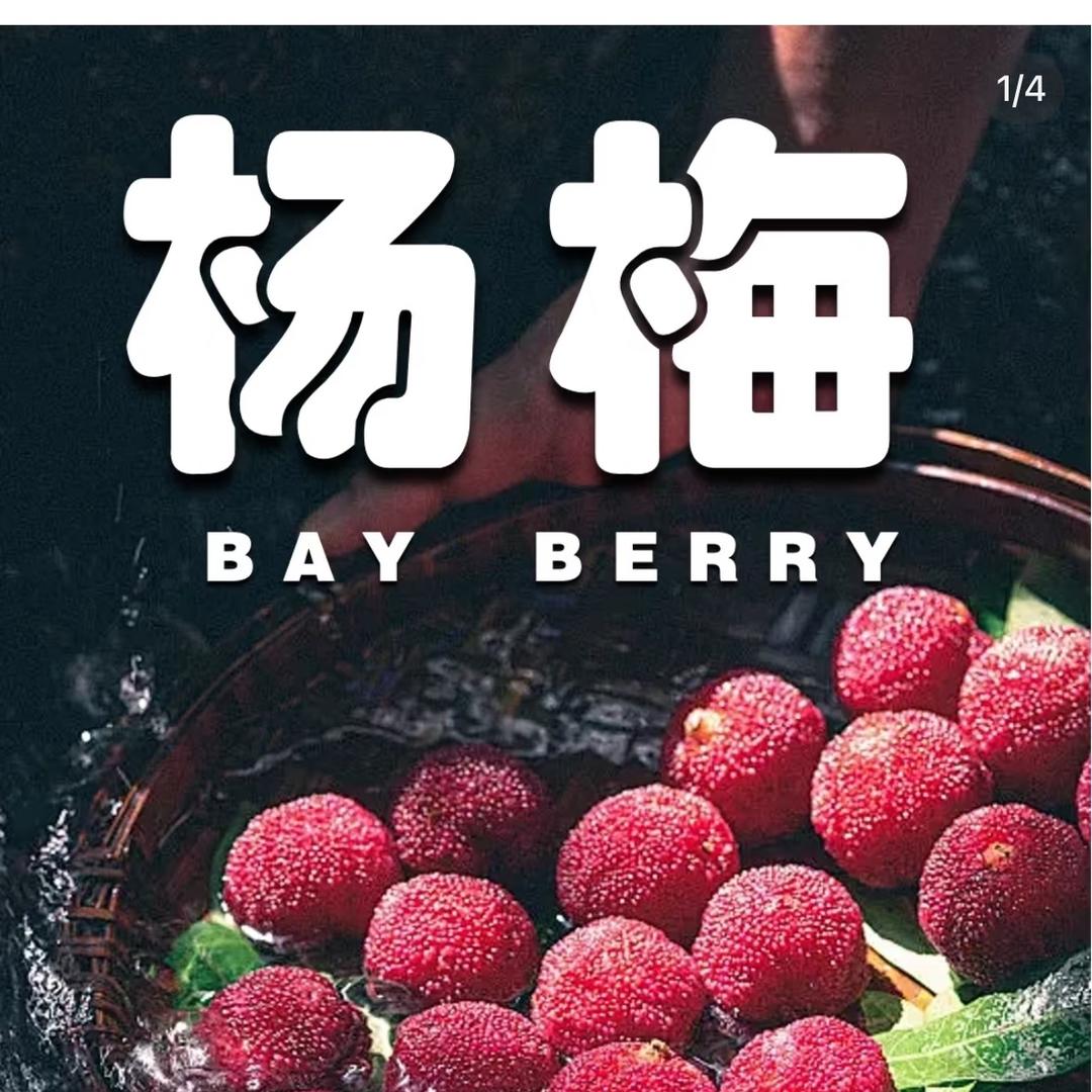 鲜哒哒仙居杨梅