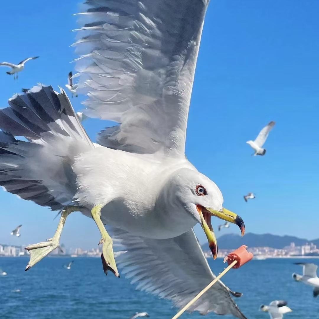 参哥水产