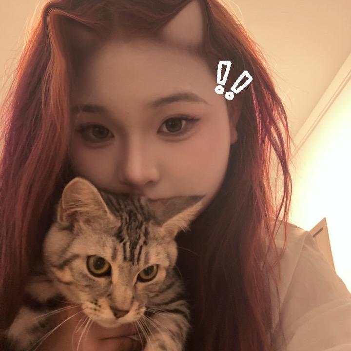 小红猫^