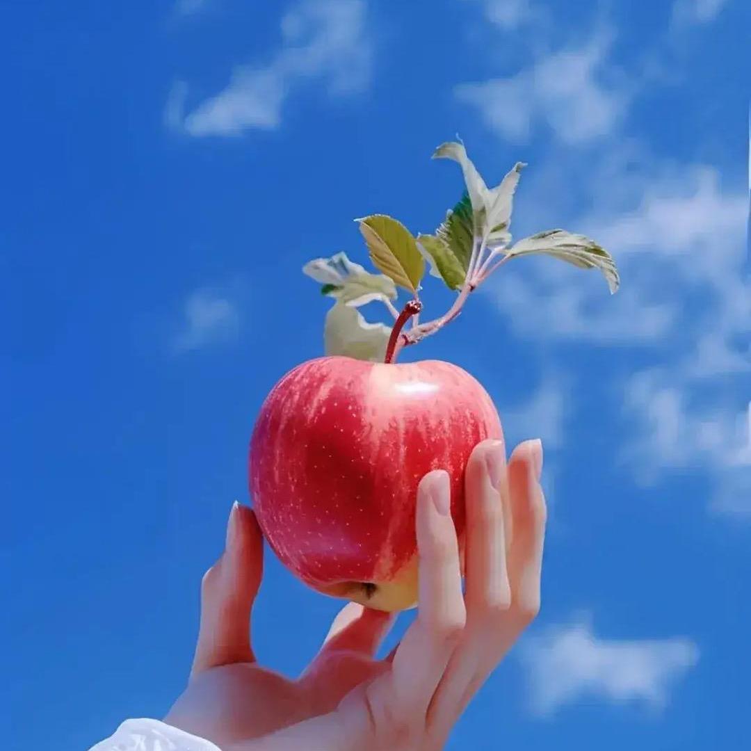 菲菲👧