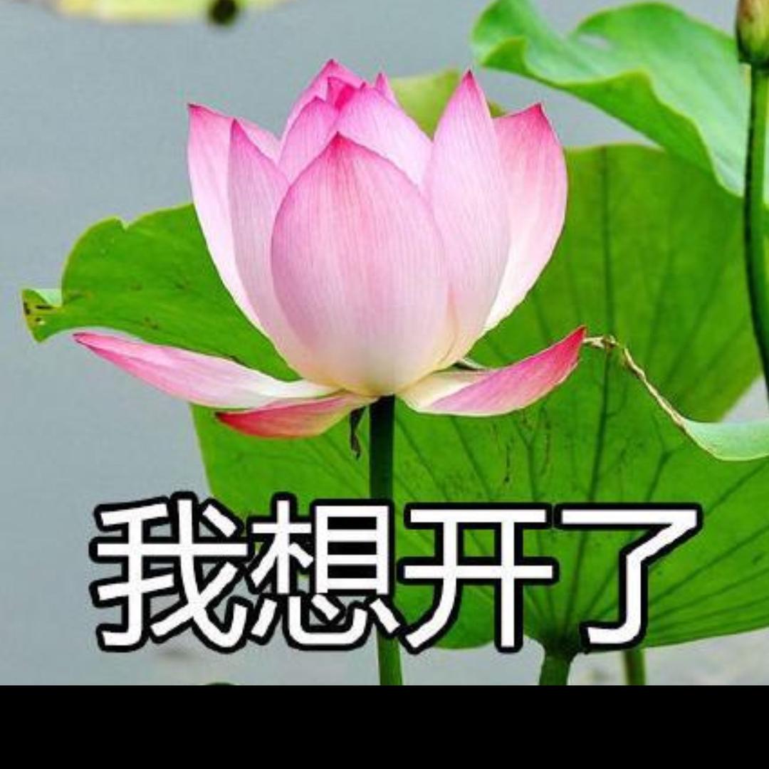 性感母蟑螂用鞋底子狂抽188男大皮燕子