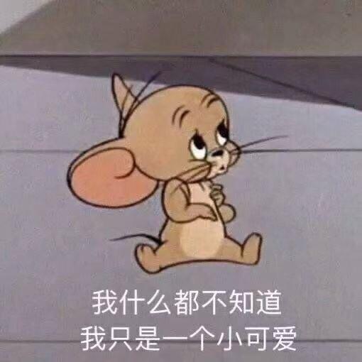 En|辰辰