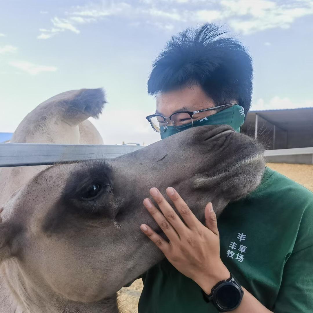 粟粟和ta的骆驼们