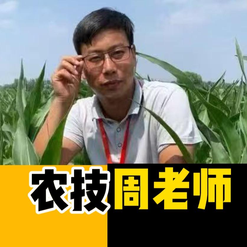 丰收农技颜选